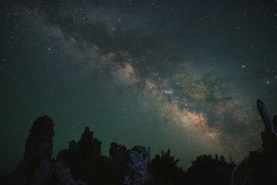 Low angle view of trees against sky at night