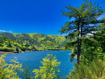 Scenic view of lake against clear blue sky