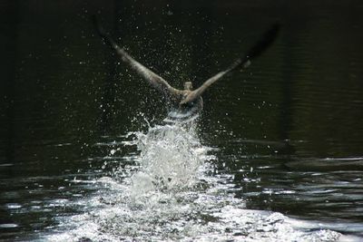 Waves splashing in water