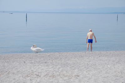 Man standing by seagull at beach