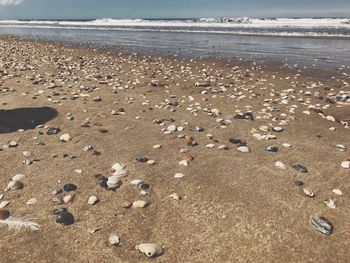 Scenic view of sea shore