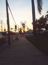 Palm trees in city against sky