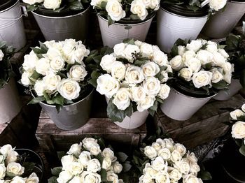 Close-up of bouquet of flowers