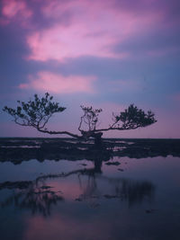 Silhouette tree by lake against sky at sunset