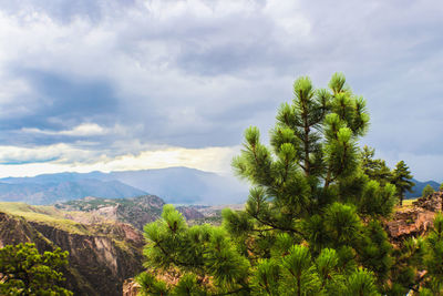 Scenic view of tree mountains against sky