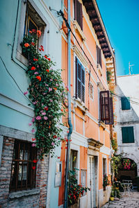 Low angle view of potted plants by building against sky