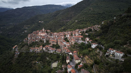 High angle view of townscape and trees in town