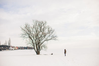 Person standing at a bare tree on snow field gainst sky