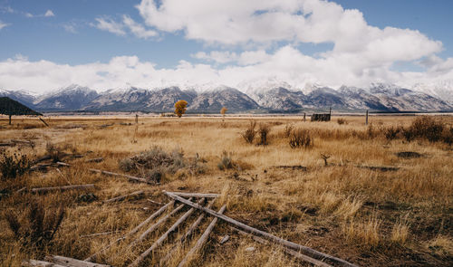Scenic view of field against sky