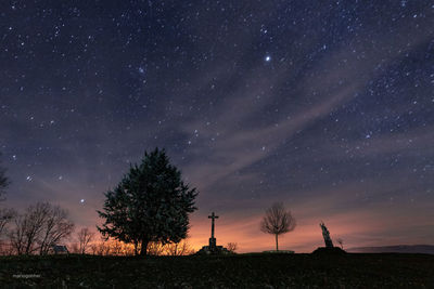 Scenic view of trees against sky at night