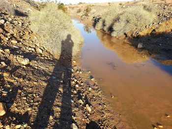 High angle view of sunlight falling on water