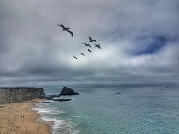 Birds flying over sea against sky