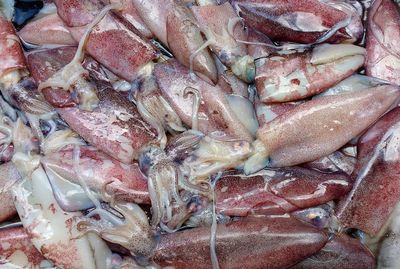 Close-up of fish for sale in market