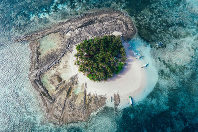 Aerial view of island amidst sea