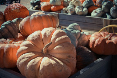 Pumpkins for sale at market stall