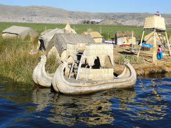 View of elephant in water