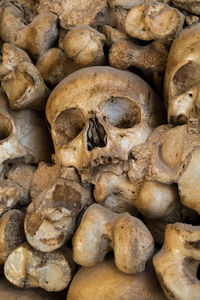 Full frame shot of human skulls