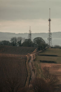 Scenic view of agricultural field