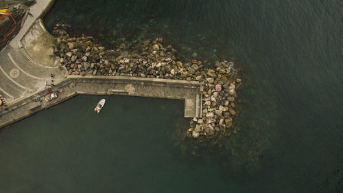 High angle view of bird swimming in sea