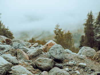 Close-up of stones on rock against sky