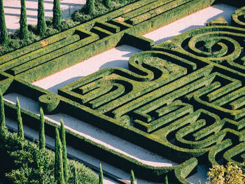 High angle view of hedges in garden