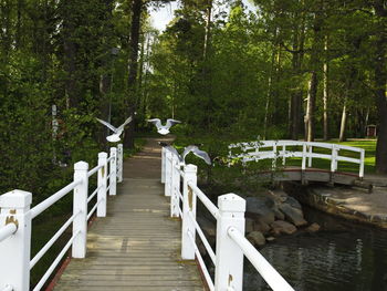 Footbridge over lake against trees