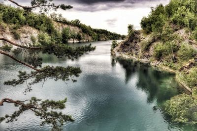 Scenic view of river amidst trees against sky