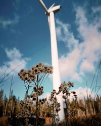 Low angle view of flowering plants on field against sky