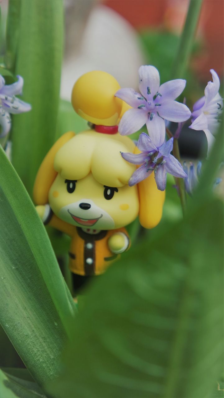 CLOSE-UP OF YELLOW FLOWERS ON GREEN TOY