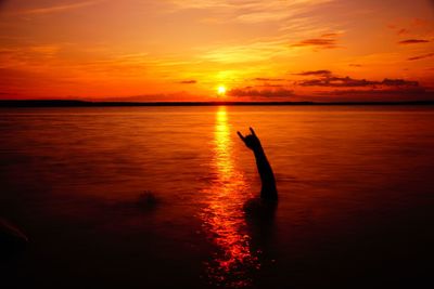 Silhouette of swimming in sea during sunset