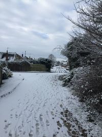 Scenic view of snow covered trees against sky