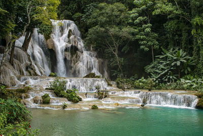 Scenic view of waterfall in forest