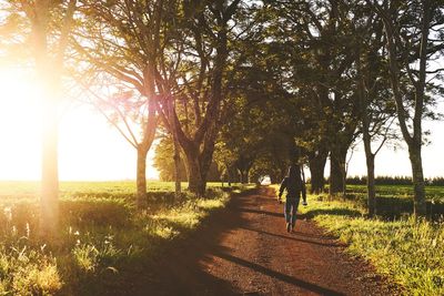 Rear view of man walking on field