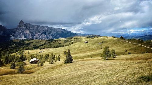 Scenic view of field against sky