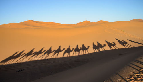 Scenic view of desert against clear sky