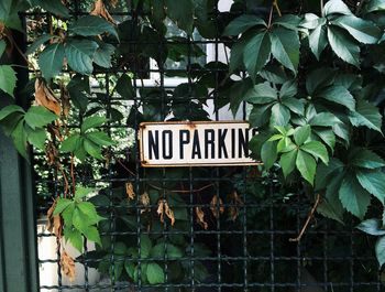Close-up of signboard against plants