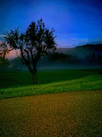 Tree on field against sky