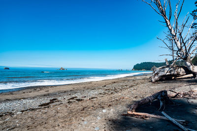 Scenic view of beach against clear blue sky