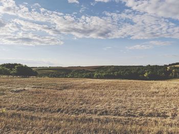 Scenic view of field against sky