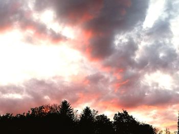 Low angle view of silhouette trees against sky during sunset