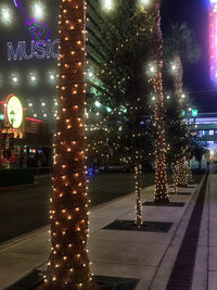 Blurred motion of trees in illuminated city at night