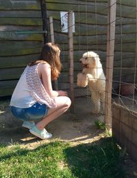 Girl crouching by hungarian komondor sheepdog on sunny day