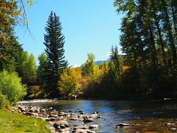 Scenic view of calm lake against blue sky