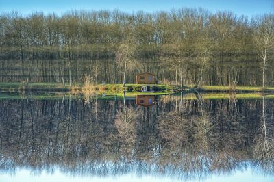 Reflection of trees on calm lake