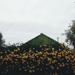 Low angle view of built structure against the sky