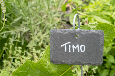 Close-up of text on plant