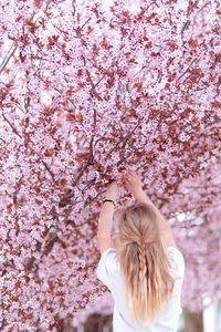 Rear view of woman standing amidst cherry blossom