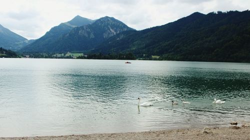 Scenic view of lake and mountains against sky