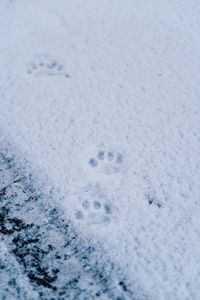 High angle view of footprints on snow covered land