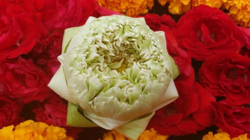 Close-up of rose bouquet